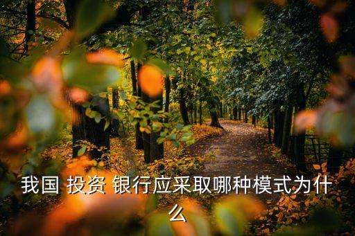 我國(guó) 投資 銀行應(yīng)采取哪種模式為什么