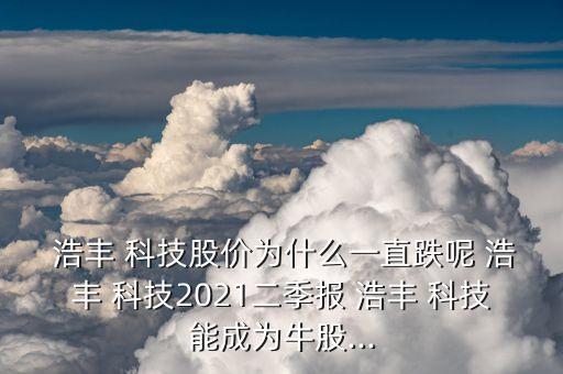  浩豐 科技股價(jià)為什么一直跌呢 浩豐 科技2021二季報(bào) 浩豐 科技能成為牛股...