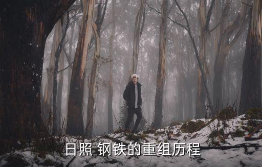 日照鋼鐵控股集團(tuán)有限公司董事長