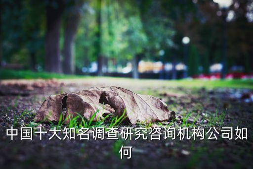 中國(guó)十大知名調(diào)查研究咨詢(xún)機(jī)構(gòu)公司如何