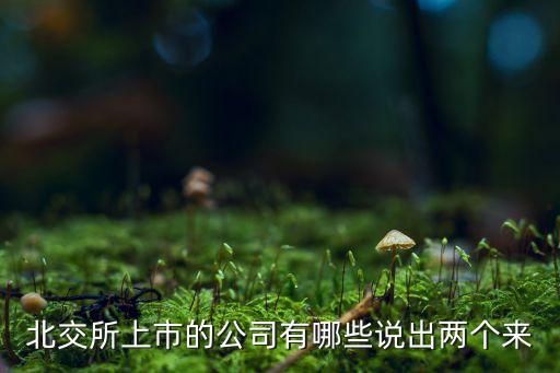 北交所上市的公司有哪些說出兩個(gè)來(lái)