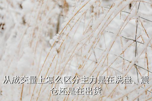 從成交量上怎么區(qū)分主力是在洗盤、震倉還是在出貨