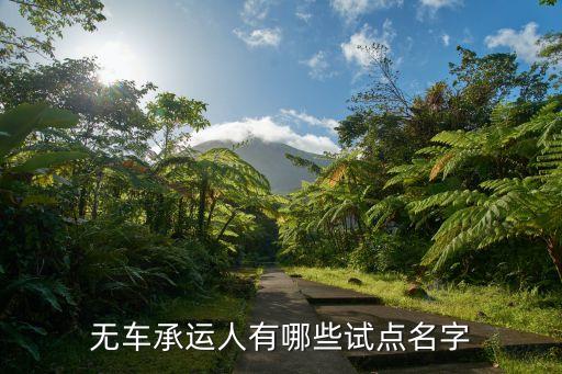 無(wú)車承運(yùn)人有哪些試點(diǎn)名字