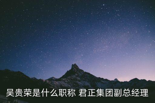 上海君正拍賣,上?？铸埖盎馁u