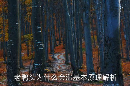  老鴨頭為什么會(huì)漲基本原理解析