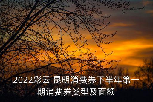 2022彩云 昆明消費(fèi)券下半年第一期消費(fèi)券類(lèi)型及面額