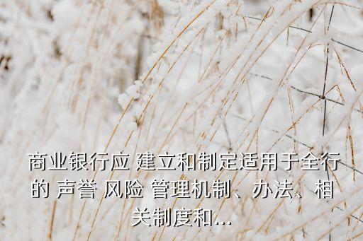 商業(yè)銀行聲譽(yù)風(fēng)險管理需要建立