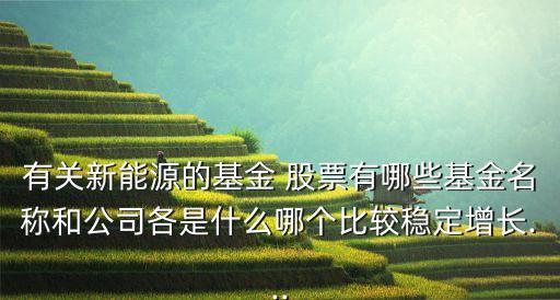 有關(guān)新能源的基金 股票有哪些基金名稱(chēng)和公司各是什么哪個(gè)比較穩(wěn)定增長(zhǎng)...