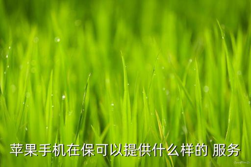 蘋果手機(jī)在?？梢蕴峁┦裁礃拥?服務(wù)