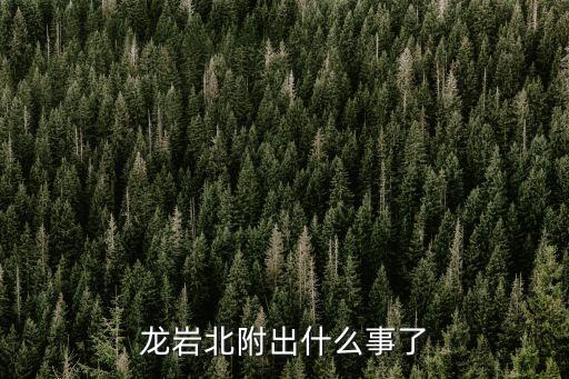 龍洲運輸公司,龍巖市龍洲運輸公司