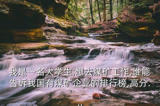 我是一名大學(xué)生,想去煤礦工作,誰(shuí)能告訴我國(guó)有煤礦企業(yè)的排行榜,高分...