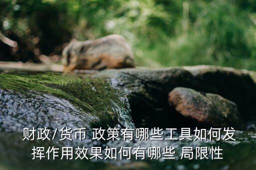 中國公共財政政策的實施及其局限