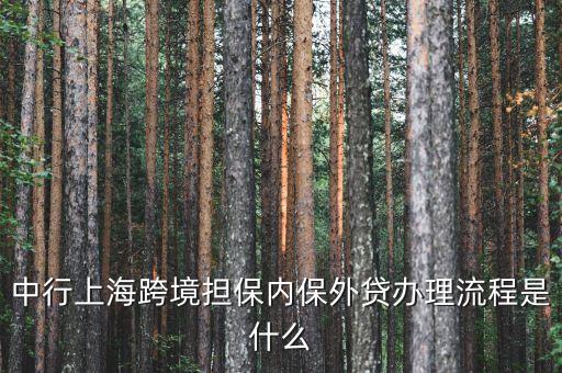 中行上?？缇硴?dān)保內(nèi)保外貸辦理流程是什么