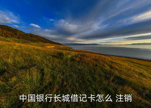 中國(guó)銀行長(zhǎng)城借記卡怎么 注銷