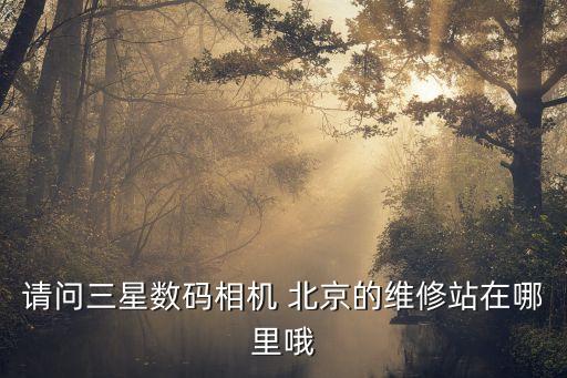 請(qǐng)問三星數(shù)碼相機(jī) 北京的維修站在哪里哦