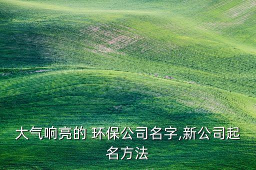 上海潔晟環(huán)?？萍?上海辨潔環(huán)保科技有限公司
