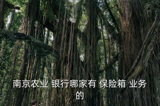 南京農(nóng)業(yè) 銀行哪家有 保險箱 業(yè)務的