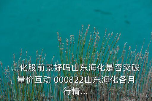 ...化股前景好嗎山東?；欠裢黄屏績r互動 000822山東海化各月行情...
