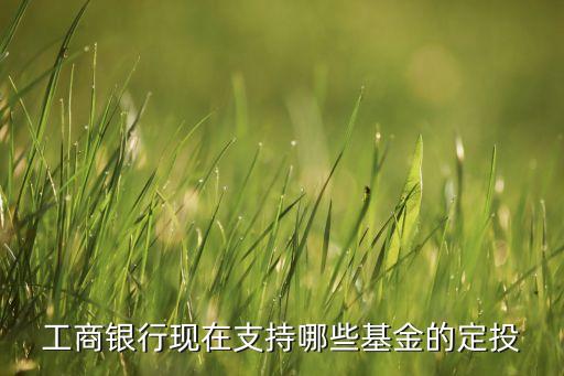 481001工銀瑞信股票,工銀瑞信核心價值凈值481001