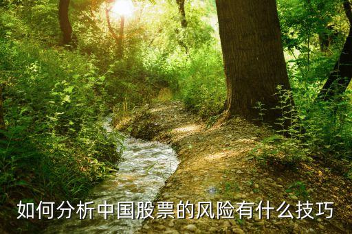 如何分析中國(guó)股票的風(fēng)險(xiǎn)有什么技巧