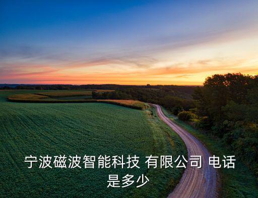  寧波磁波智能科技 有限公司 電話(huà)是多少