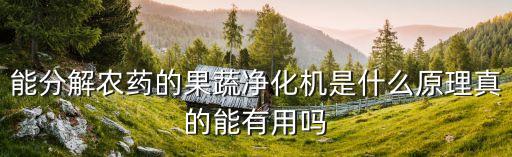 上海子含食品有限公司,上海盤(pán)點(diǎn)食品科技有限公司