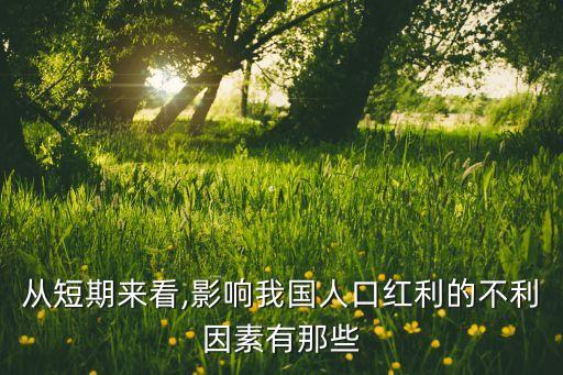 從短期來看,影響我國人口紅利的不利因素有那些