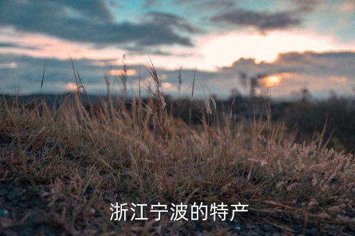  浙江寧波的特產