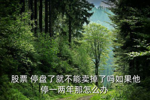 2015年10月股票匹凸匹停盤(pán)幾天啊