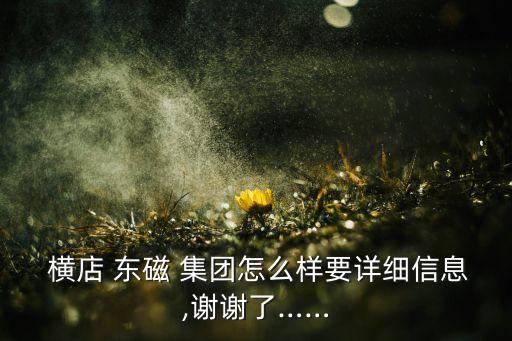 橫店集團東磁股份有限公司電話,浙江橫店集團東磁股份有限公司
