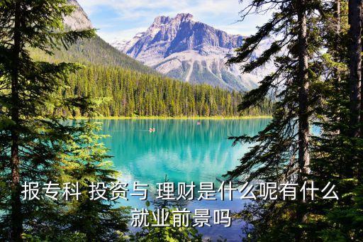 報(bào)?？?投資與 理財(cái)是什么呢有什么就業(yè)前景嗎