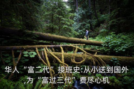 白手起家的中國(guó)人
