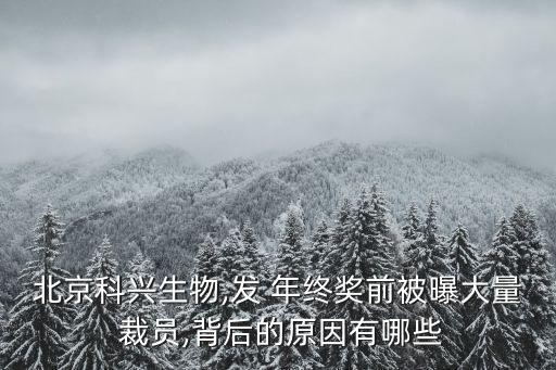 北京科興生物,發(fā) 年終獎(jiǎng)前被曝大量 裁員,背后的原因有哪些