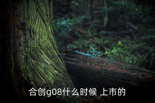 合創(chuàng)g08什么時(shí)候 上市的