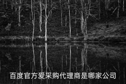 百度官方愛采購(gòu)代理商是哪家公司