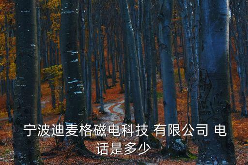  寧波迪麥格磁電科技 有限公司 電話(huà)是多少