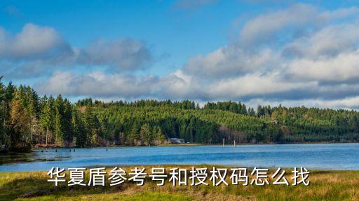 華夏盾參考號和授權碼怎么找