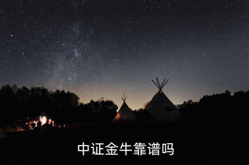  中證金?？孔V嗎