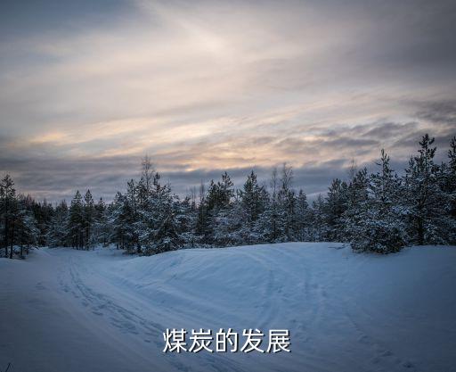 神華集團(tuán)6000大卡動力煤價(jià)格,俄羅斯6000大卡動力煤煤炭價(jià)格