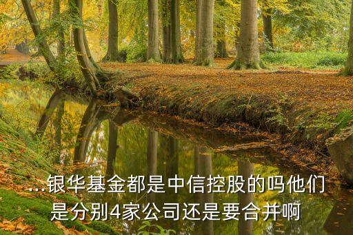 上海久事集團(tuán)股票,上海國盛集團(tuán)股票
