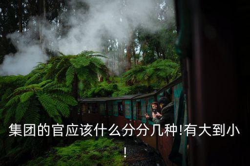 集團的官應該什么分分幾種!有大到小!