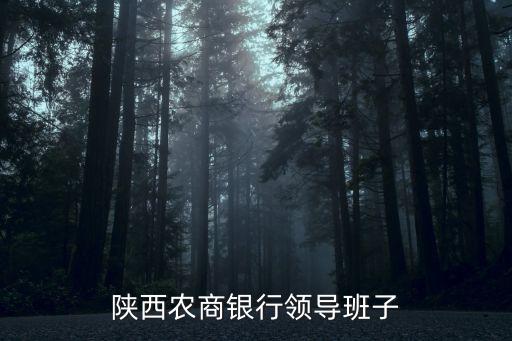 陜西農(nóng)商銀行領(lǐng)導(dǎo)班子