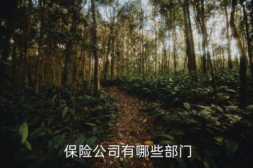  保險(xiǎn)公司有哪些部門(mén)