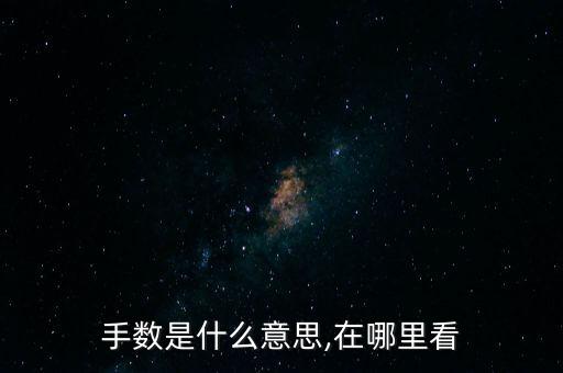手數是什么意思,在哪里看