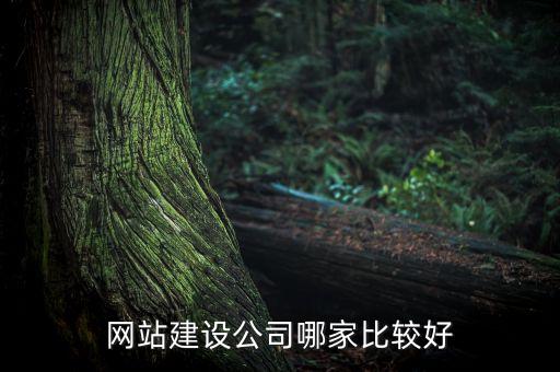 網站建設公司哪家比較好
