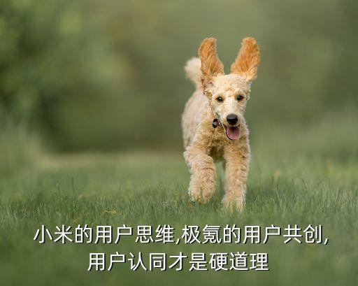  小米的用戶思維,極氪的用戶共創(chuàng),用戶認(rèn)同才是硬道理