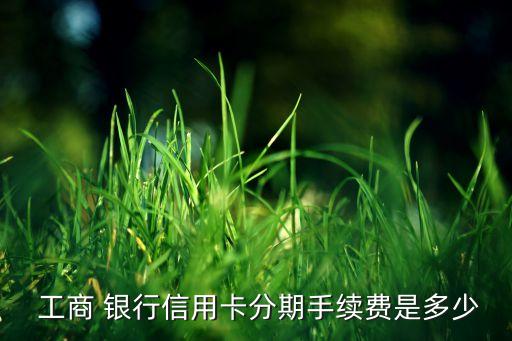  工商 銀行信用卡分期手續(xù)費(fèi)是多少
