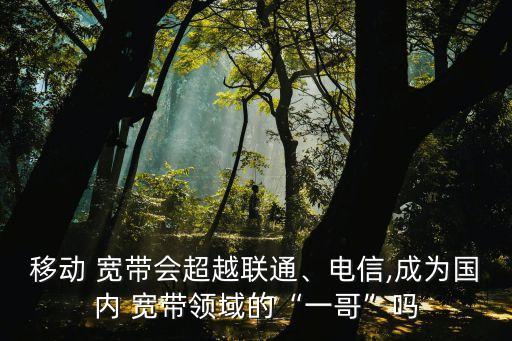 移動 寬帶會超越聯(lián)通、電信,成為國內(nèi) 寬帶領域的“一哥”嗎