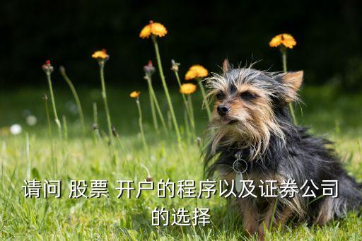 請(qǐng)問 股票 開戶的程序以及證券公司的選擇