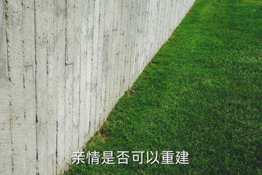 親情是否可以重建
